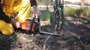 Best Commercial Tree Services  in Huntsville, MO